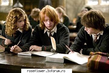 poze harry ron hermione