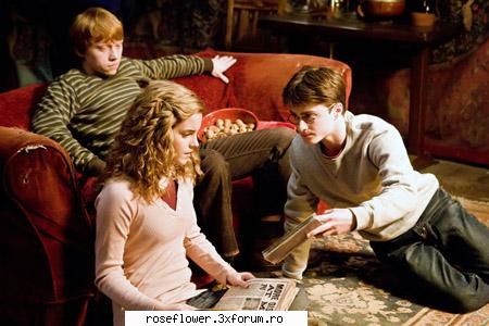 harry ron hermione poze