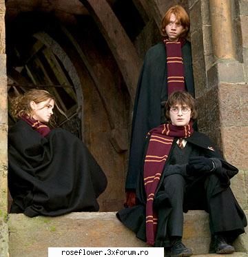 Poze - Harry si prieteni - Harry Potter
