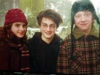 Poze - harry ron hermione - Harry Potter