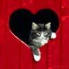 Poze love - emy_sweet_girl - Love and friends